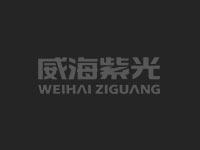 威海紫光